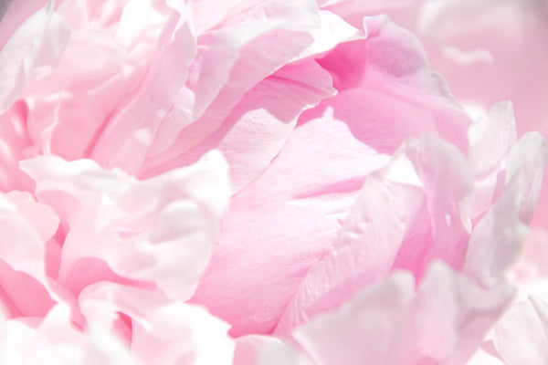 Why your body changes in perimenopause, and what actually helps